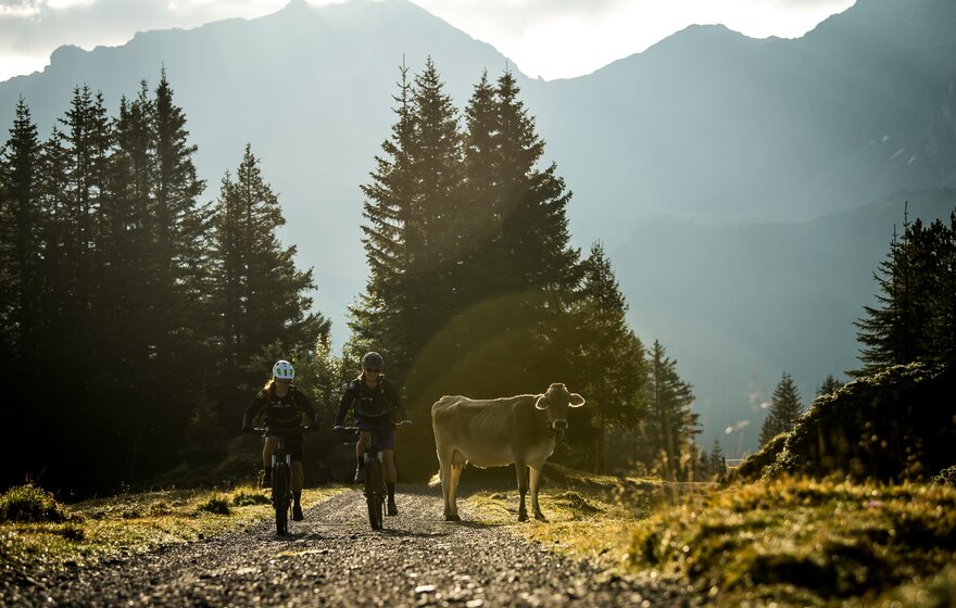arosa-ebike-6.jpg
