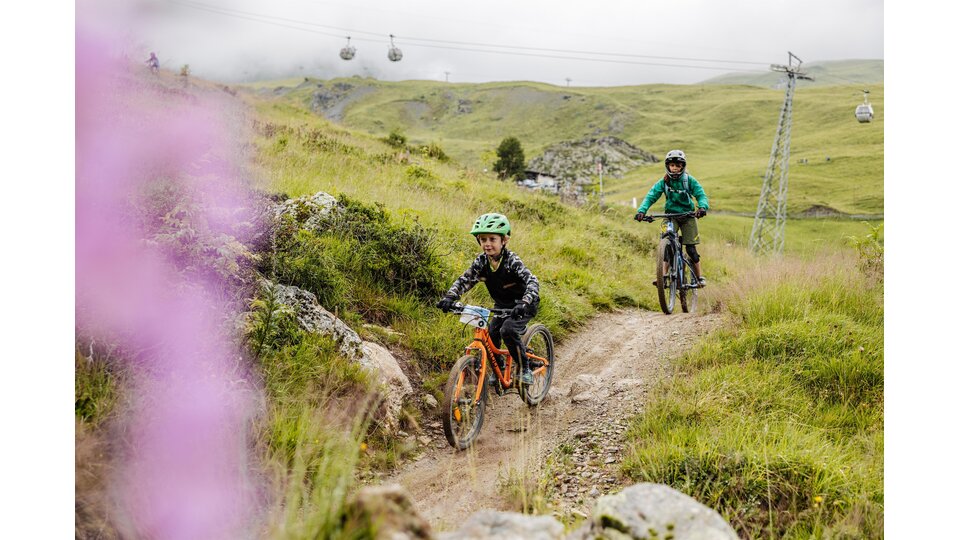 Family Bike Vibes