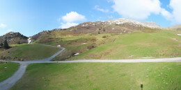 Alp Stätz
