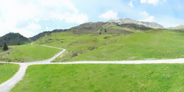 Alp Stätz