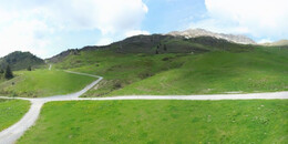 Alp Stätz