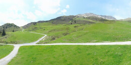 Alp Stätz