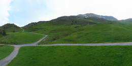 Alp Stätz
