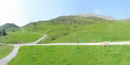 Alp Stätz
