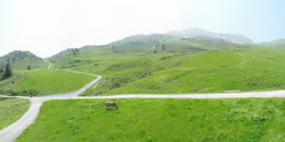 Alp Stätz
