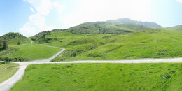 Alp Stätz