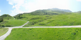 Alp Stätz