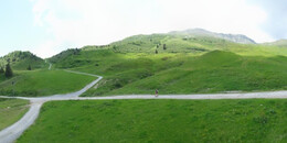 Alp Stätz