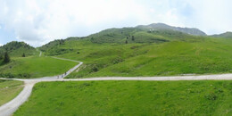 Alp Stätz