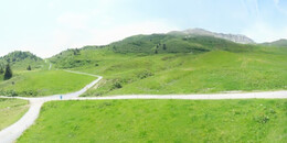 Alp Stätz