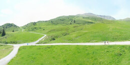Alp Stätz