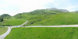 Alp Stätz