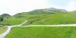 Alp Stätz