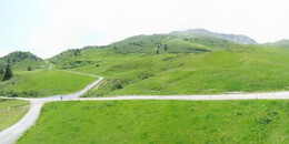 Alp Stätz
