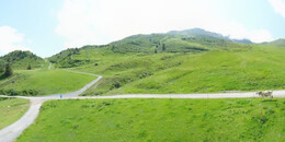 Alp Stätz