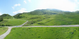 Alp Stätz