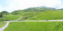 Alp Stätz