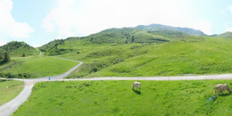 Alp Stätz
