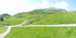 Alp Stätz
