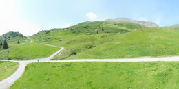 Alp Stätz