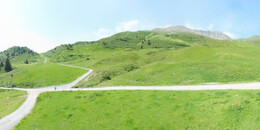 Alp Stätz