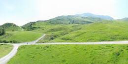 Alp Stätz