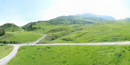Alp Stätz