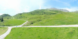 Alp Stätz