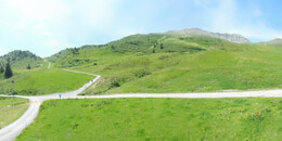 Alp Stätz