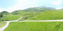 Alp Stätz