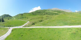 Alp Stätz