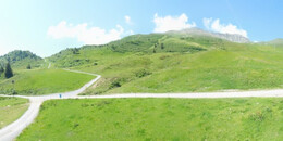 Alp Stätz