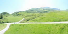 Alp Stätz