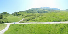Alp Stätz