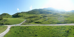 Alp Stätz