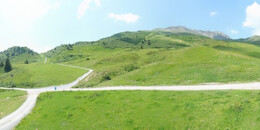 Alp Stätz