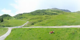 Alp Stätz