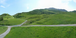 Alp Stätz