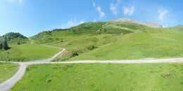 Alp Stätz