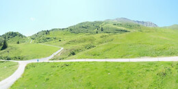 Alp Stätz