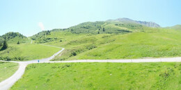 Alp Stätz