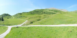 Alp Stätz