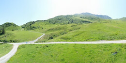 Alp Stätz