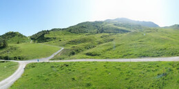 Alp Stätz