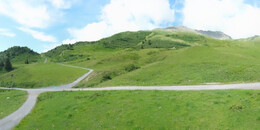 Alp Stätz