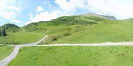 Alp Stätz