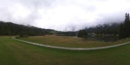 Heidsee Bargias