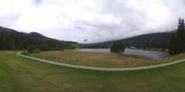 Heidsee Bargias