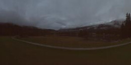 Heidsee Bargias