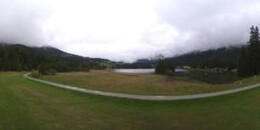 Heidsee Bargias
